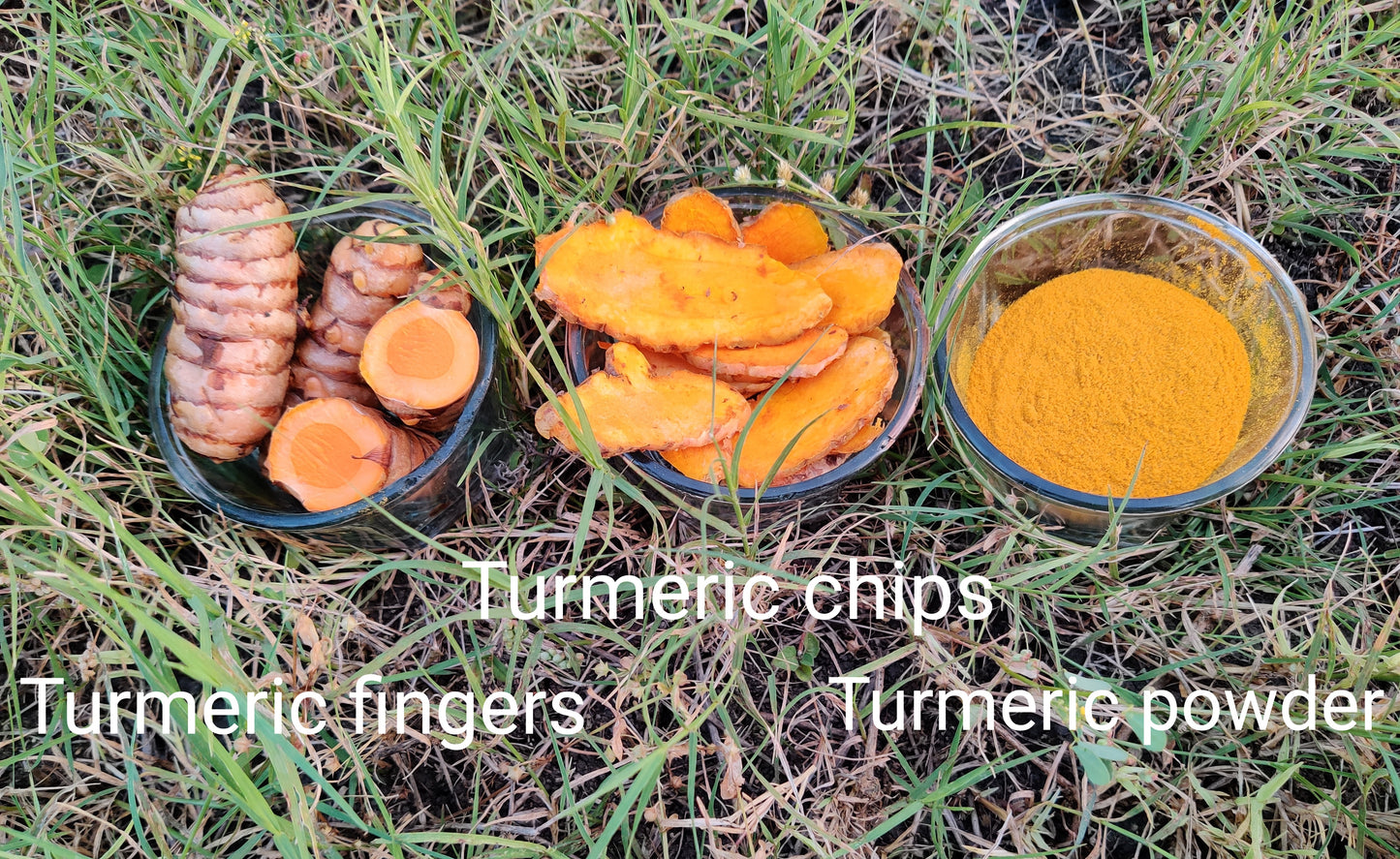 Turmeric