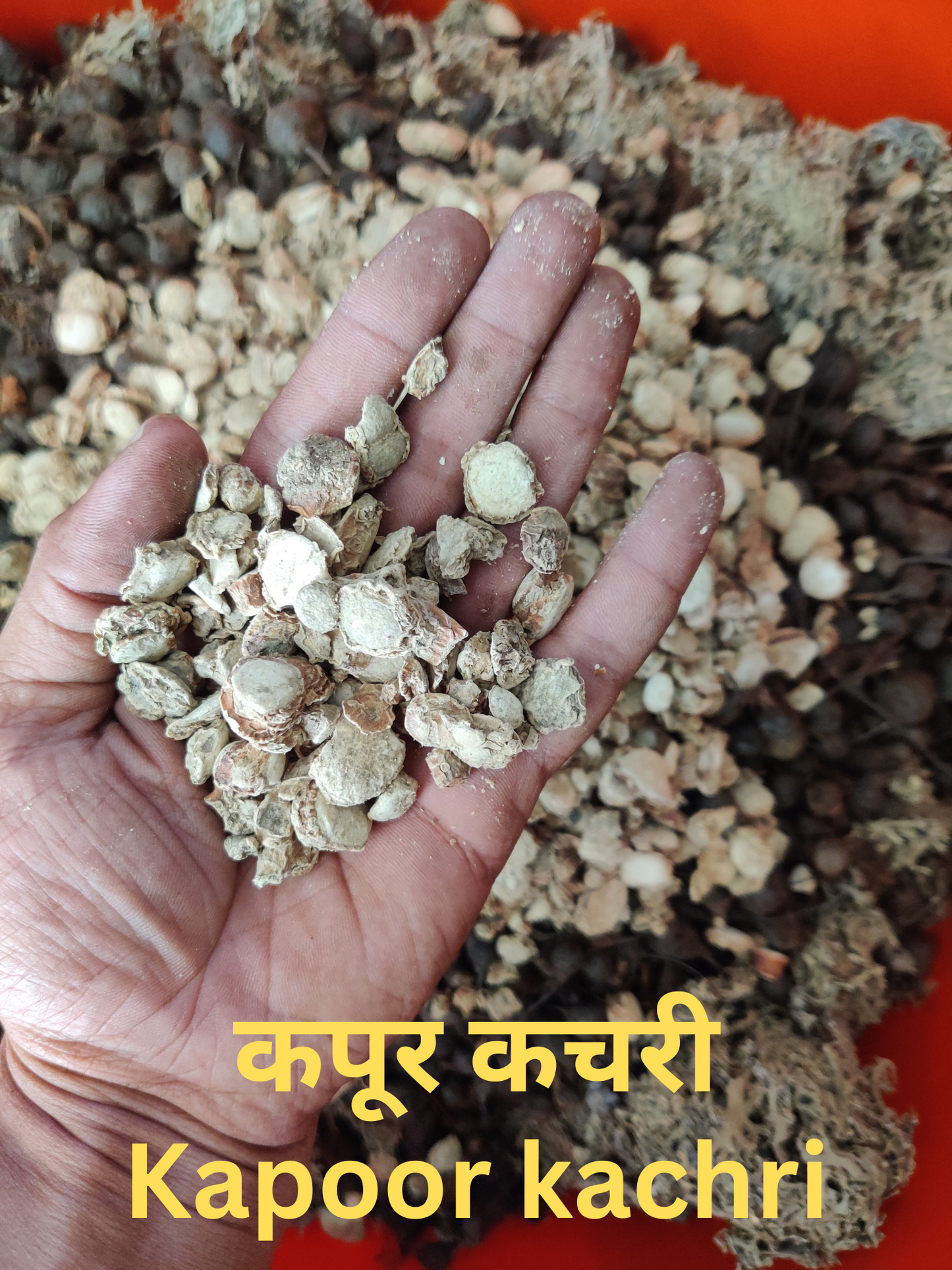 KeshVeda (Hair Wash Powder)