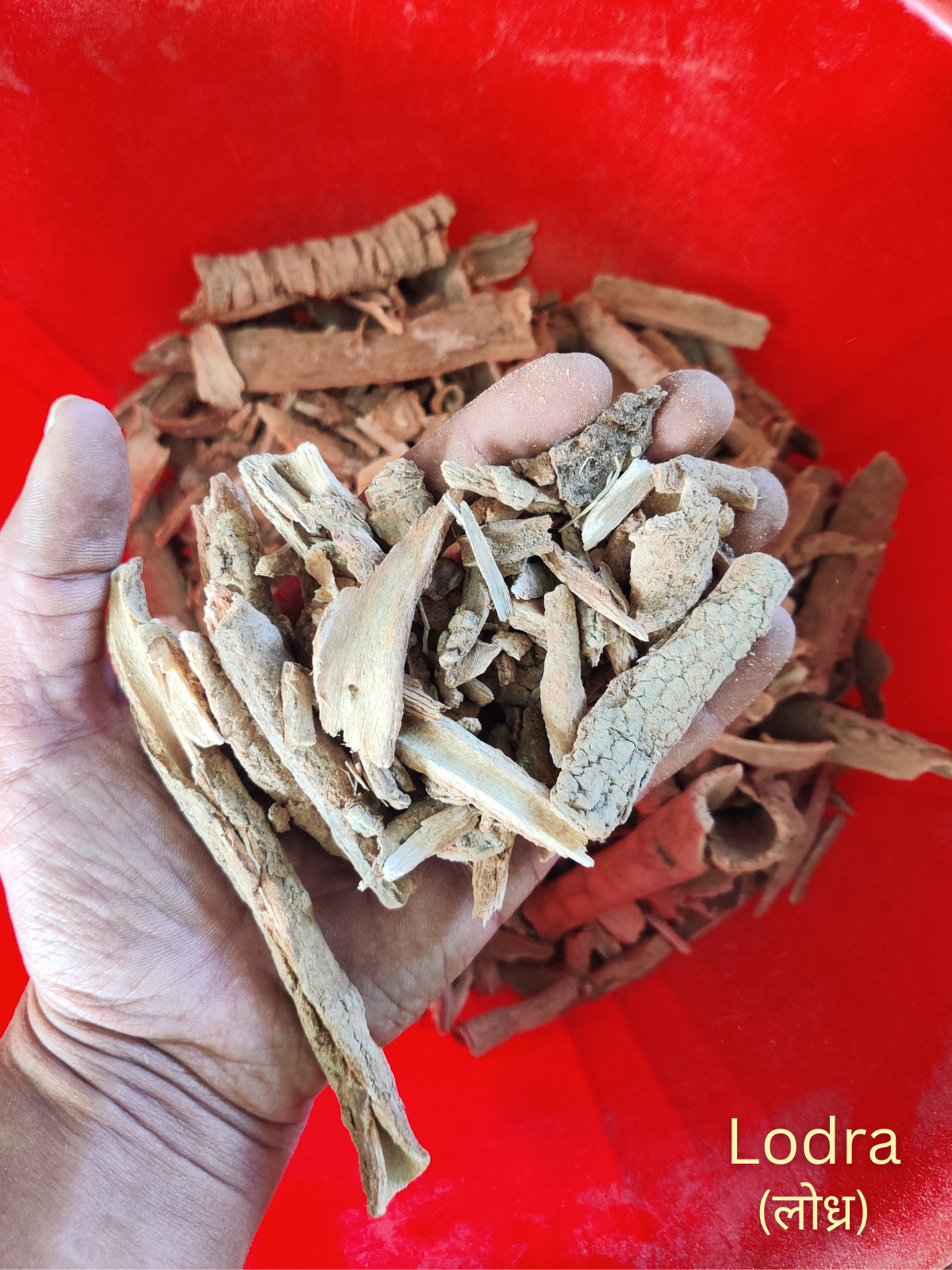 SaumyaVeda (Face Wash Powder)