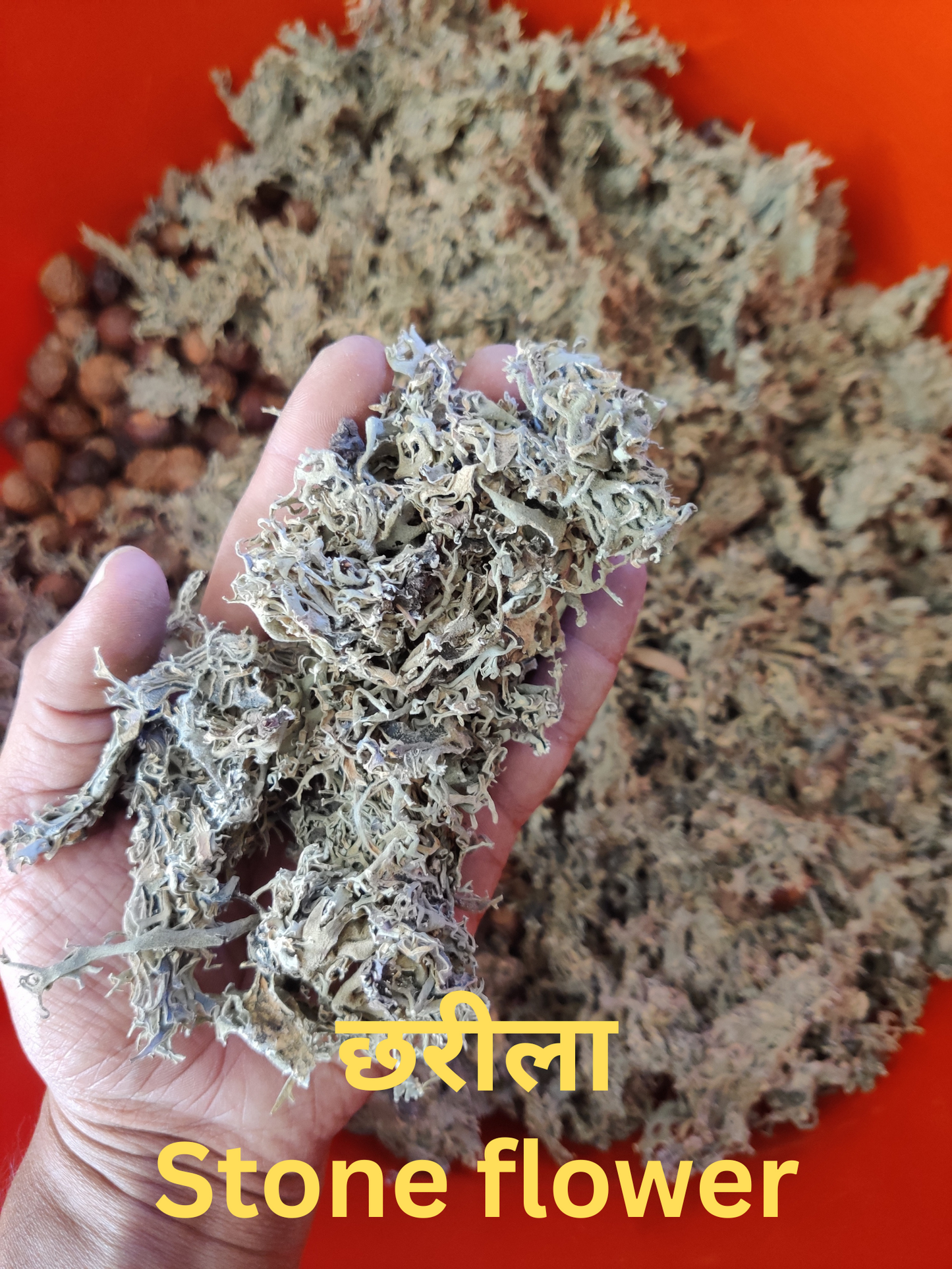 KeshVeda (Hair Wash Powder)