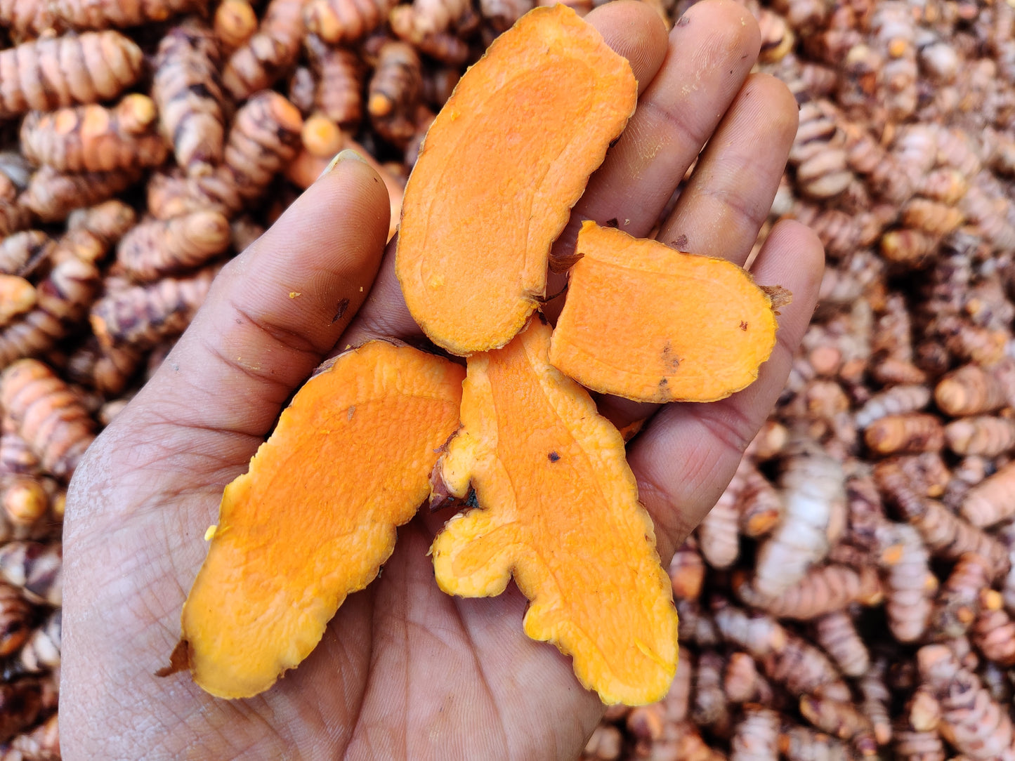 Turmeric