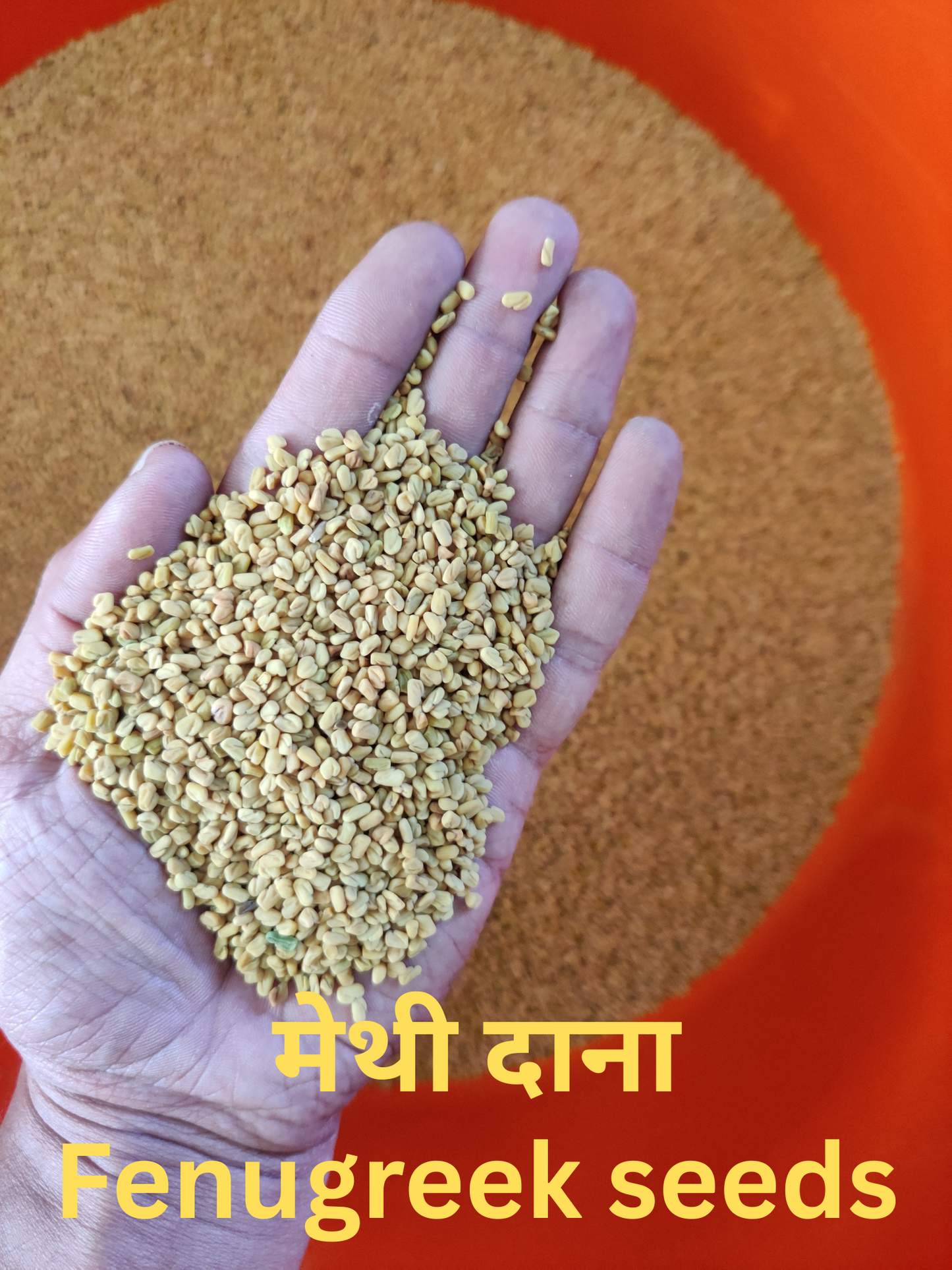 KeshVeda (Hair Wash Powder)