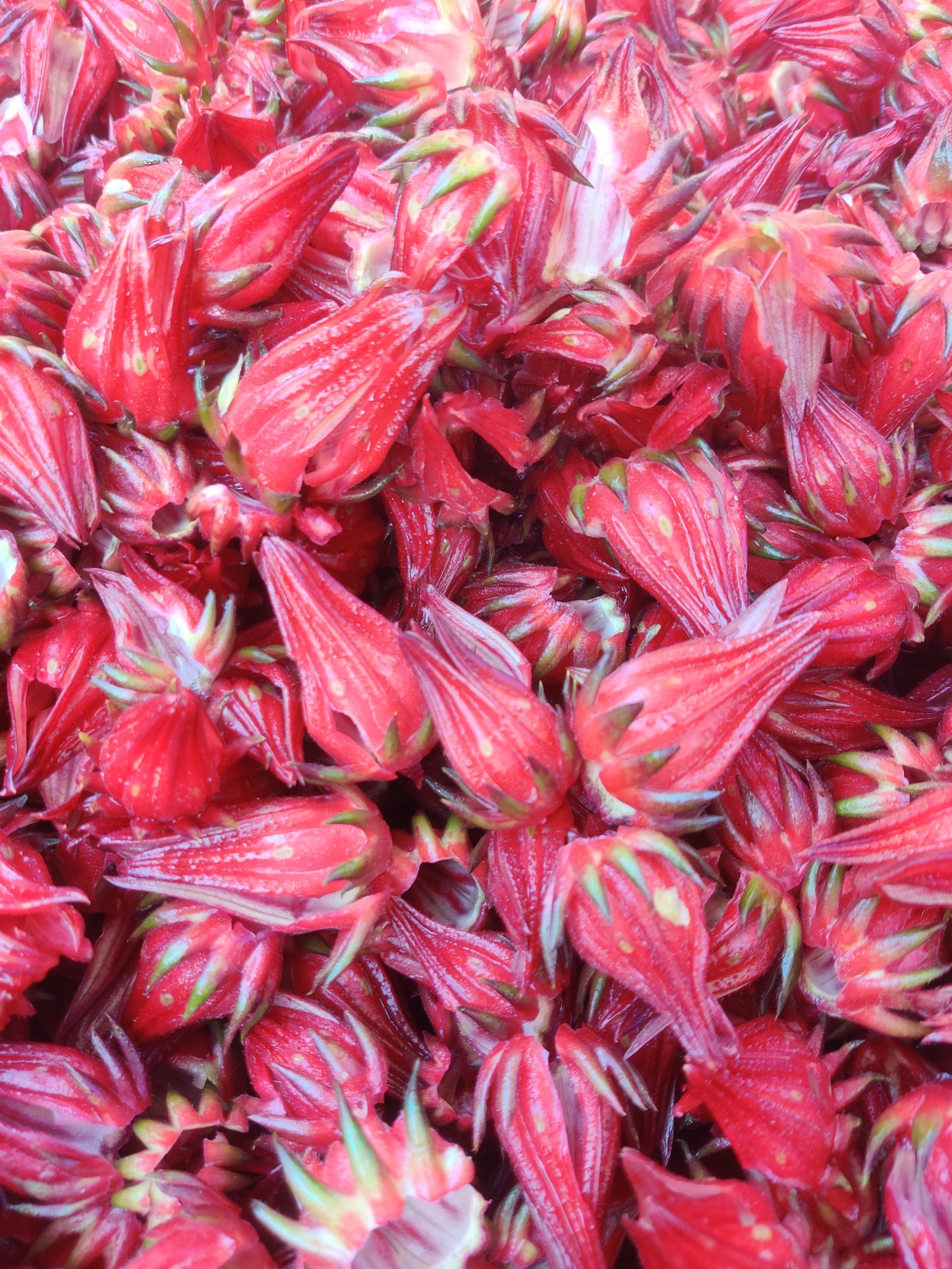 Hibiscus Marmalade