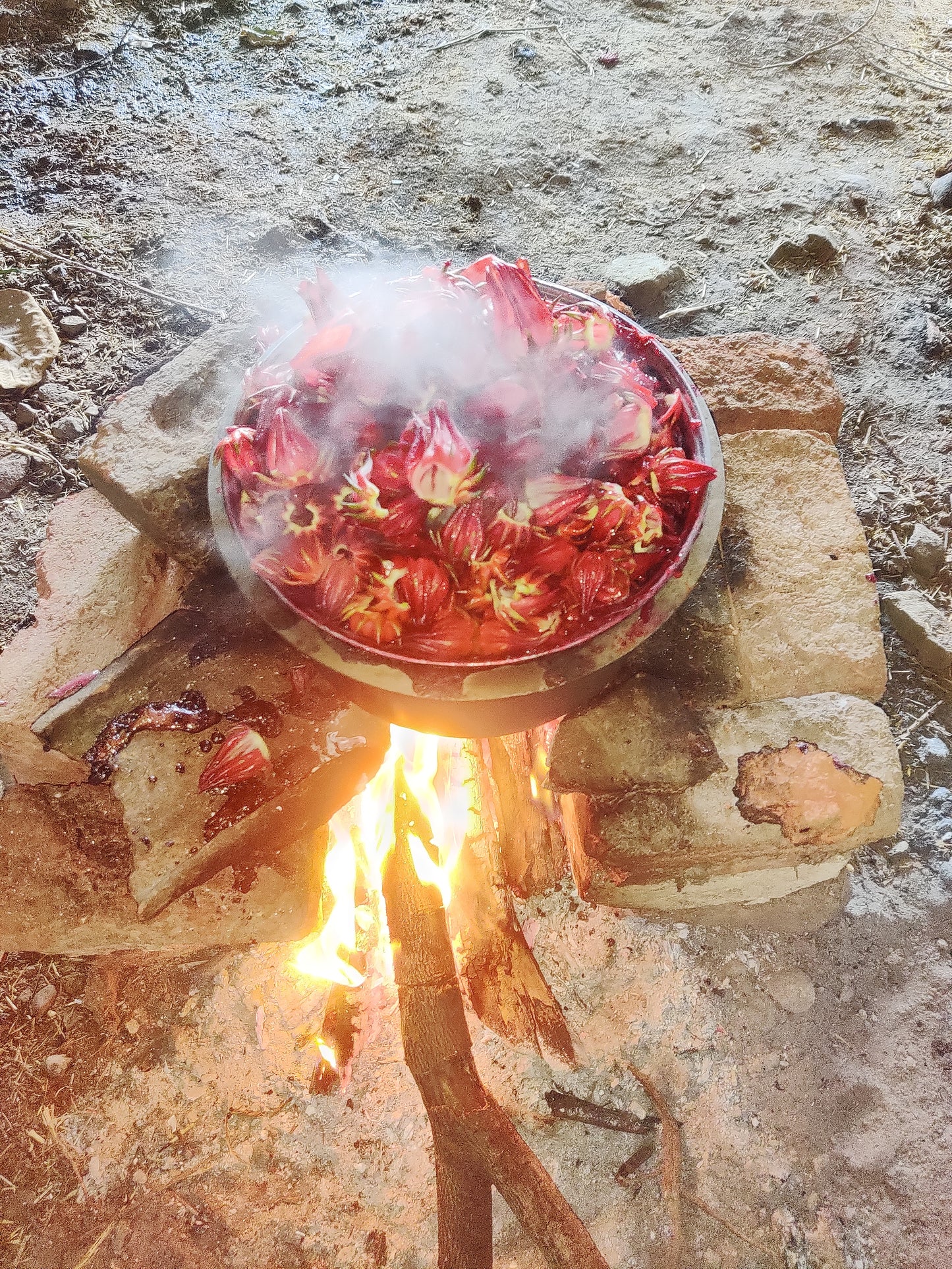 Hibiscus Marmalade