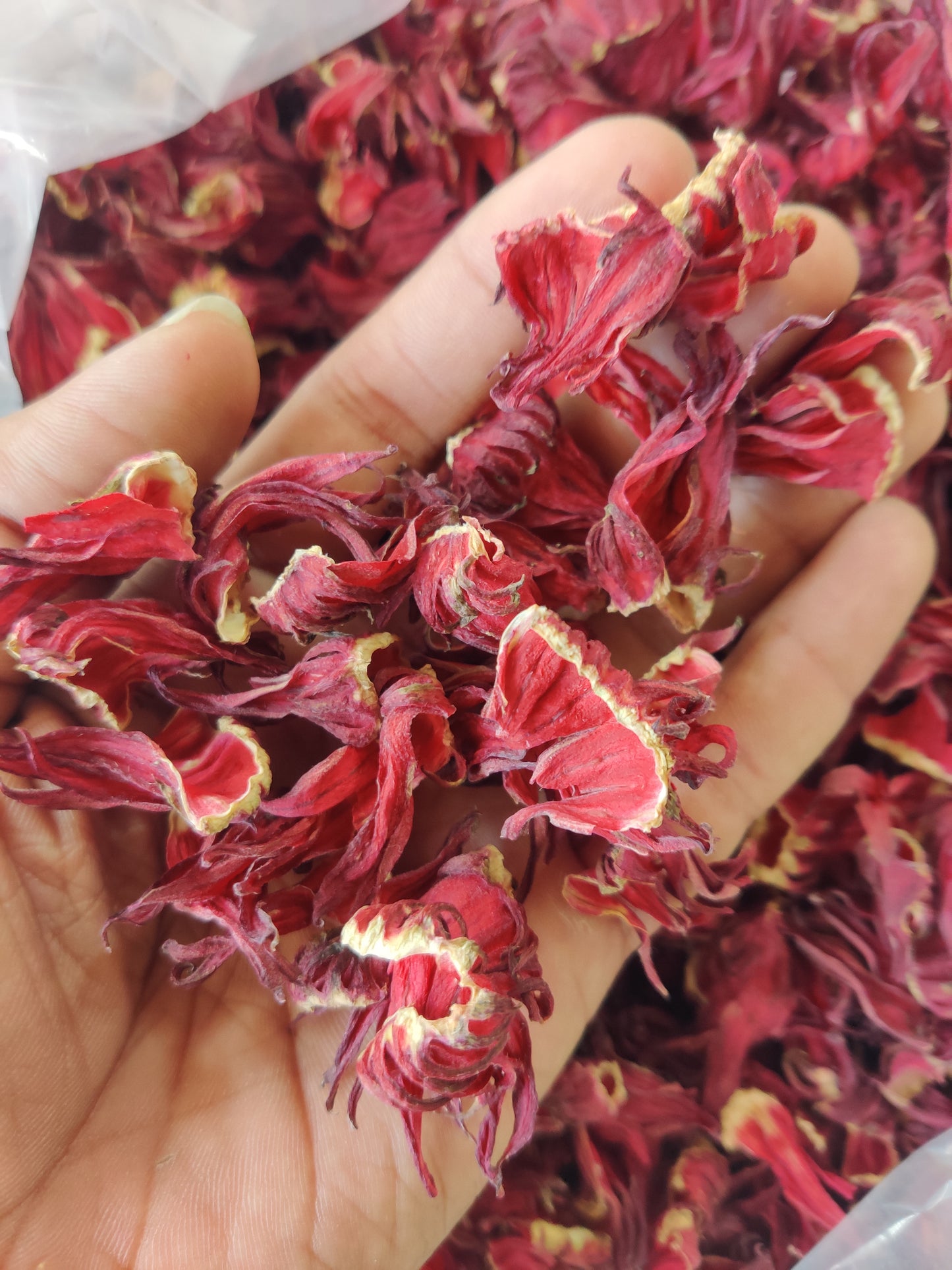 Hibiscus Sabdariffa/Roselle (Dried flower)