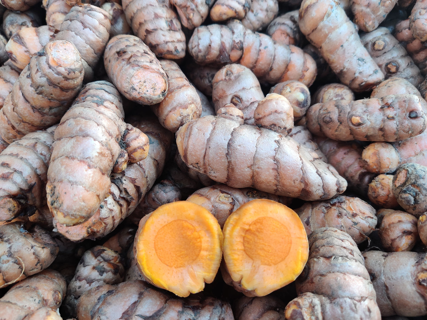 Turmeric
