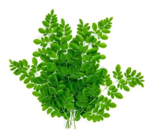Moringa
