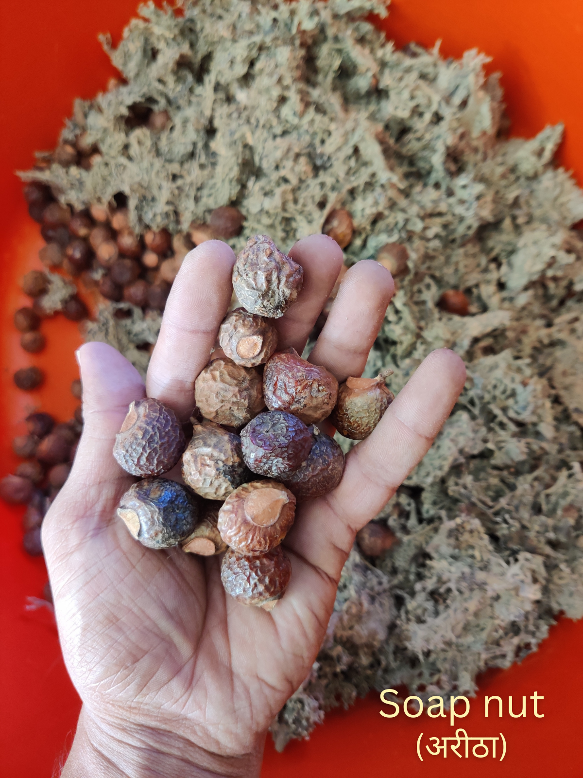 KeshVeda (Hair Wash Powder)