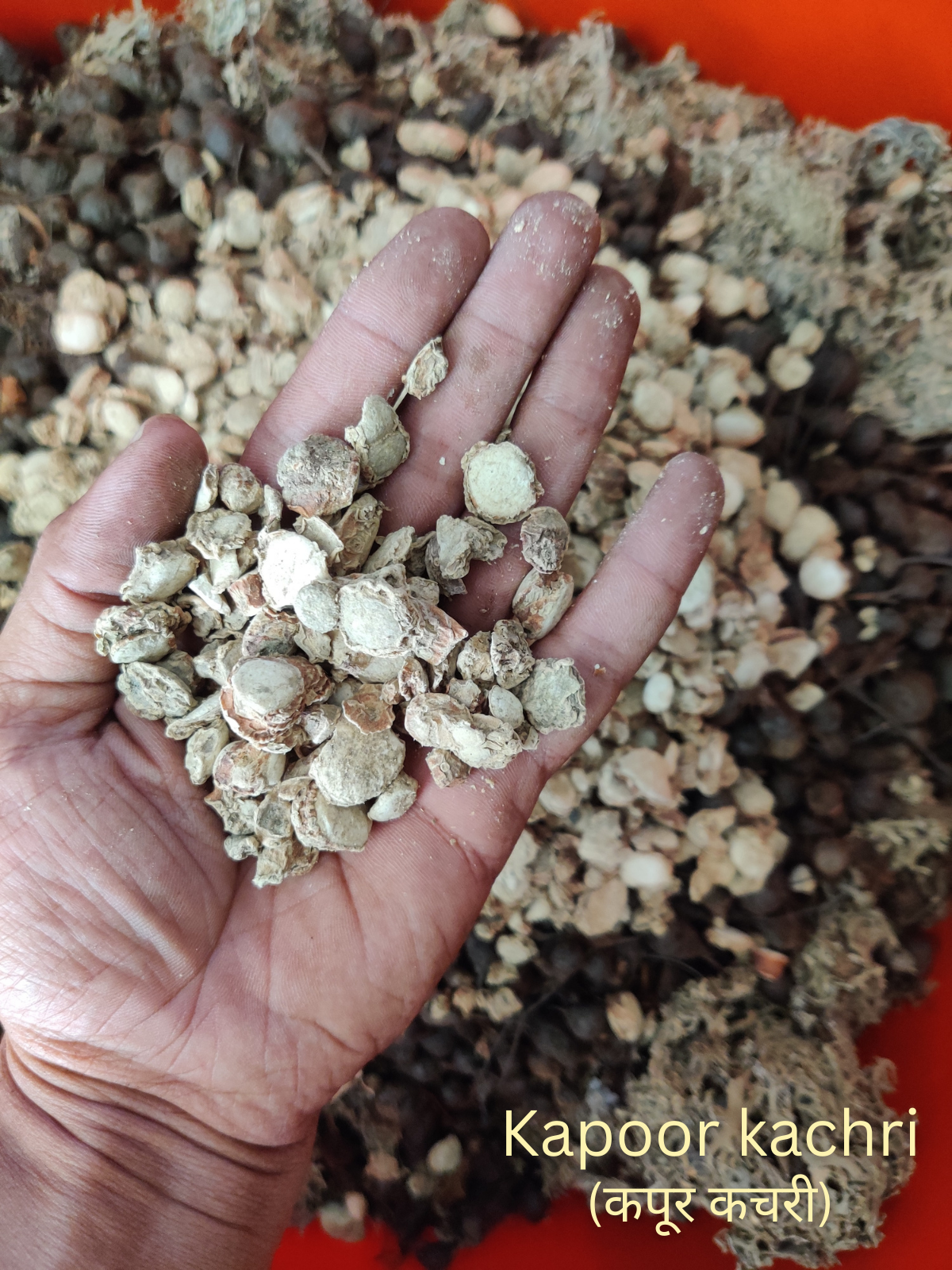 KeshVeda (Hair Wash Powder)