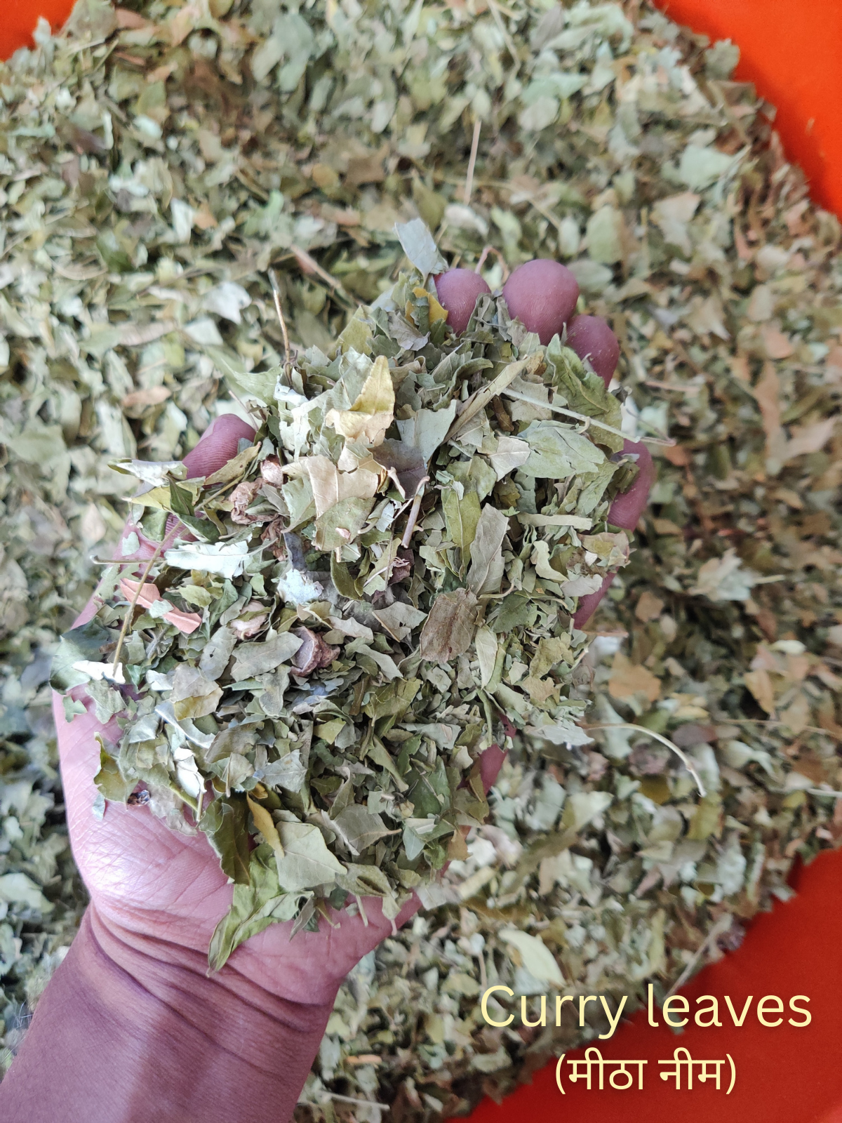 KeshVeda (Hair Wash Powder)