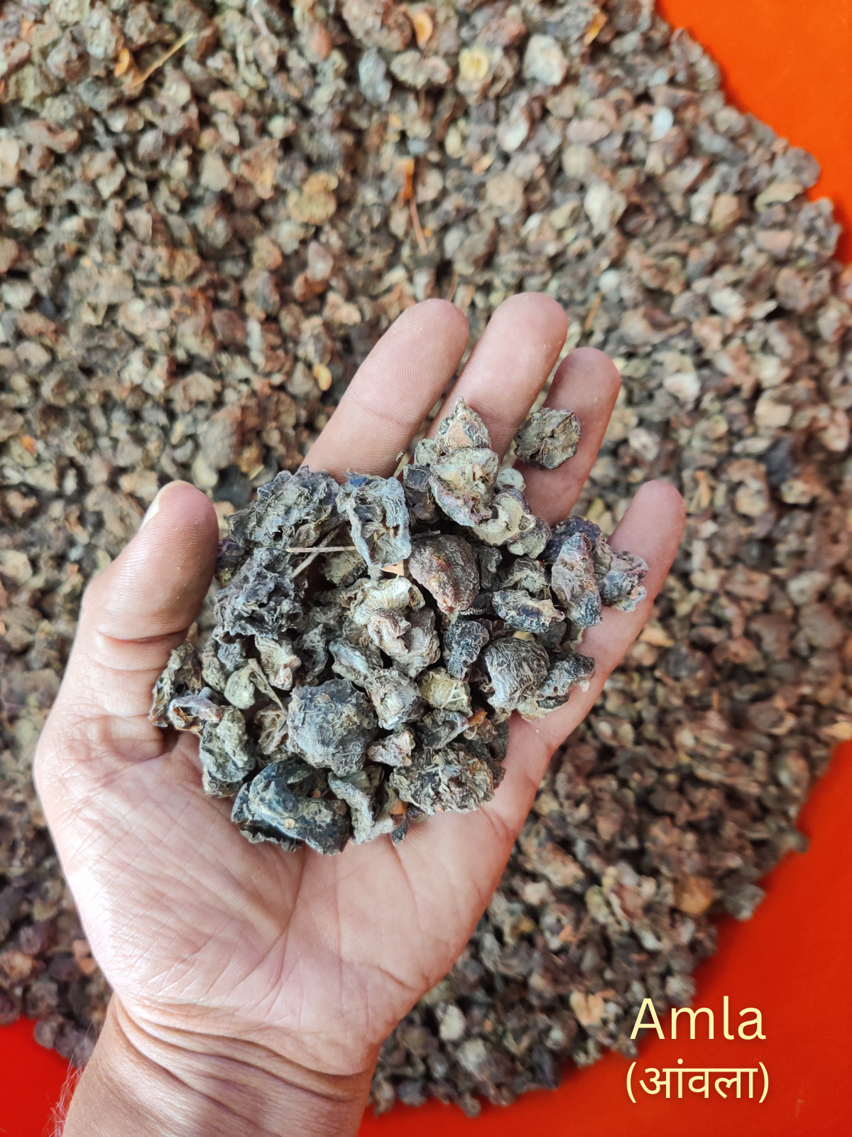 KeshVeda (Hair Wash Powder)