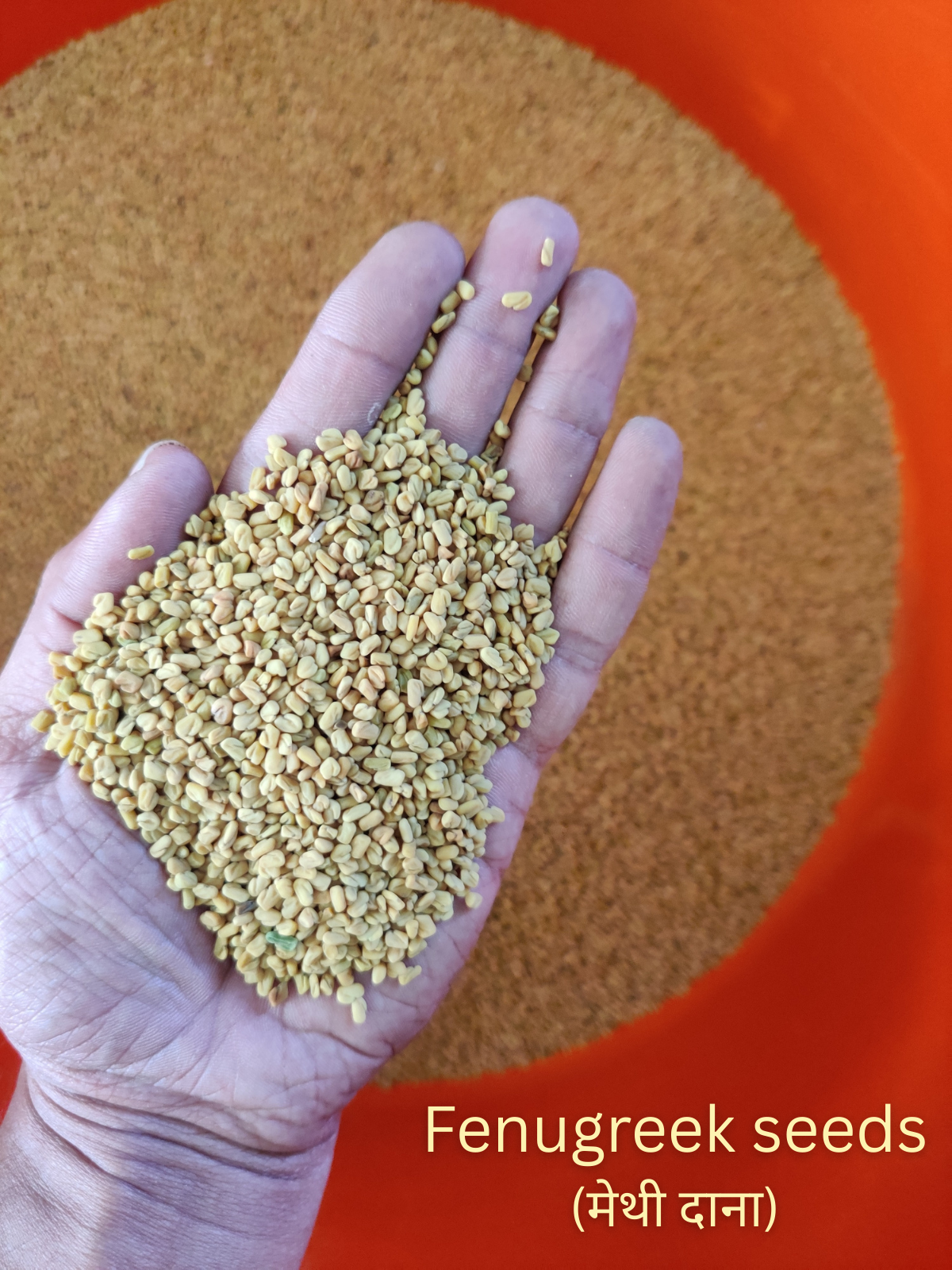 KeshVeda (Hair Wash Powder)