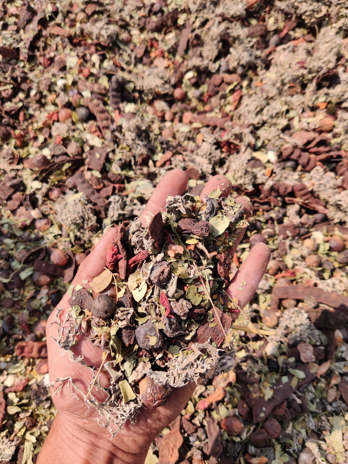 KeshVeda (Hair Wash Powder)