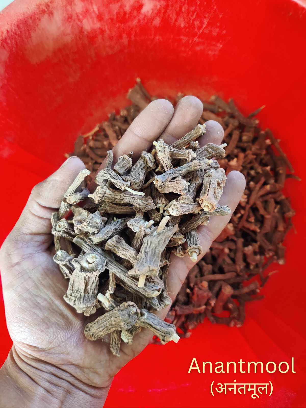 SaumyaVeda (Face Wash Powder)