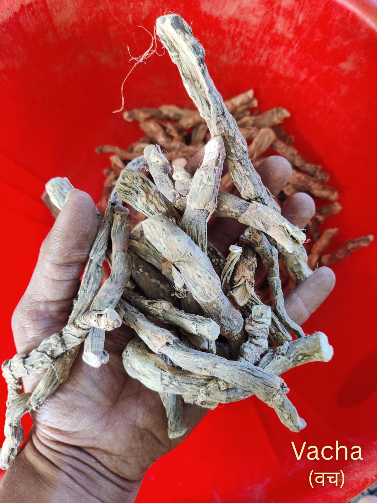 SaumyaVeda (Face Wash Powder)