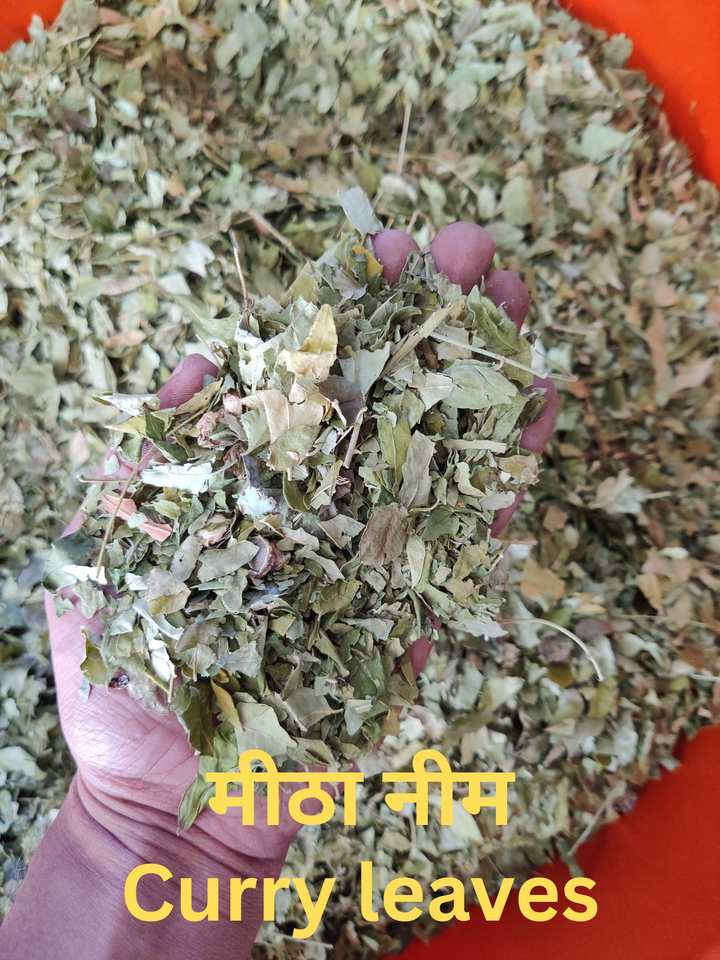 KeshVeda (Hair Wash Powder)