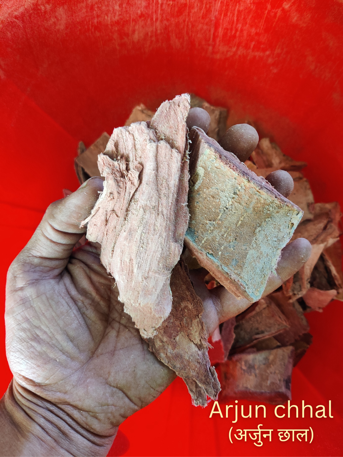 SaumyaVeda (Face Wash Powder)