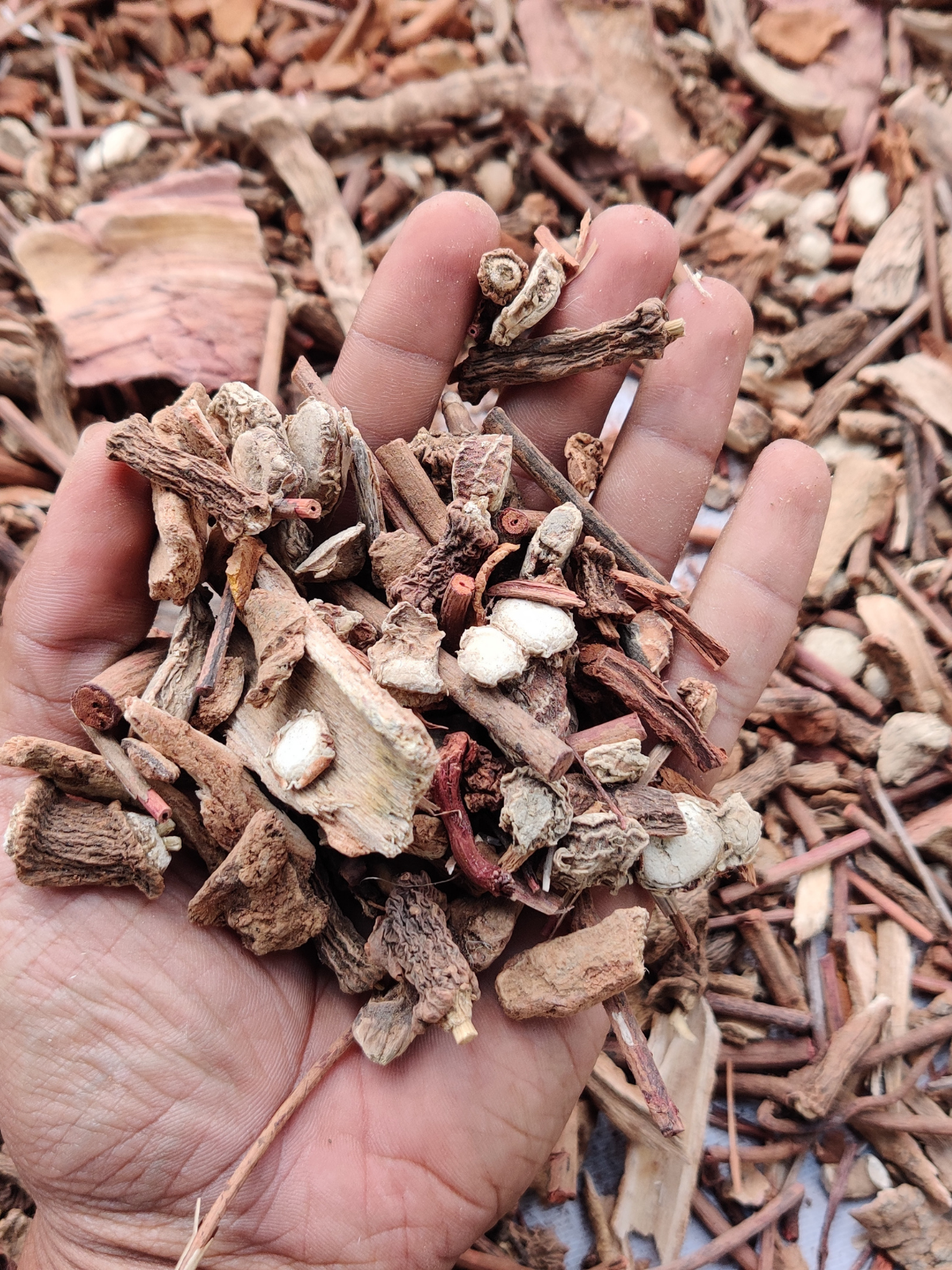 SaumyaVeda (Face Wash Powder)