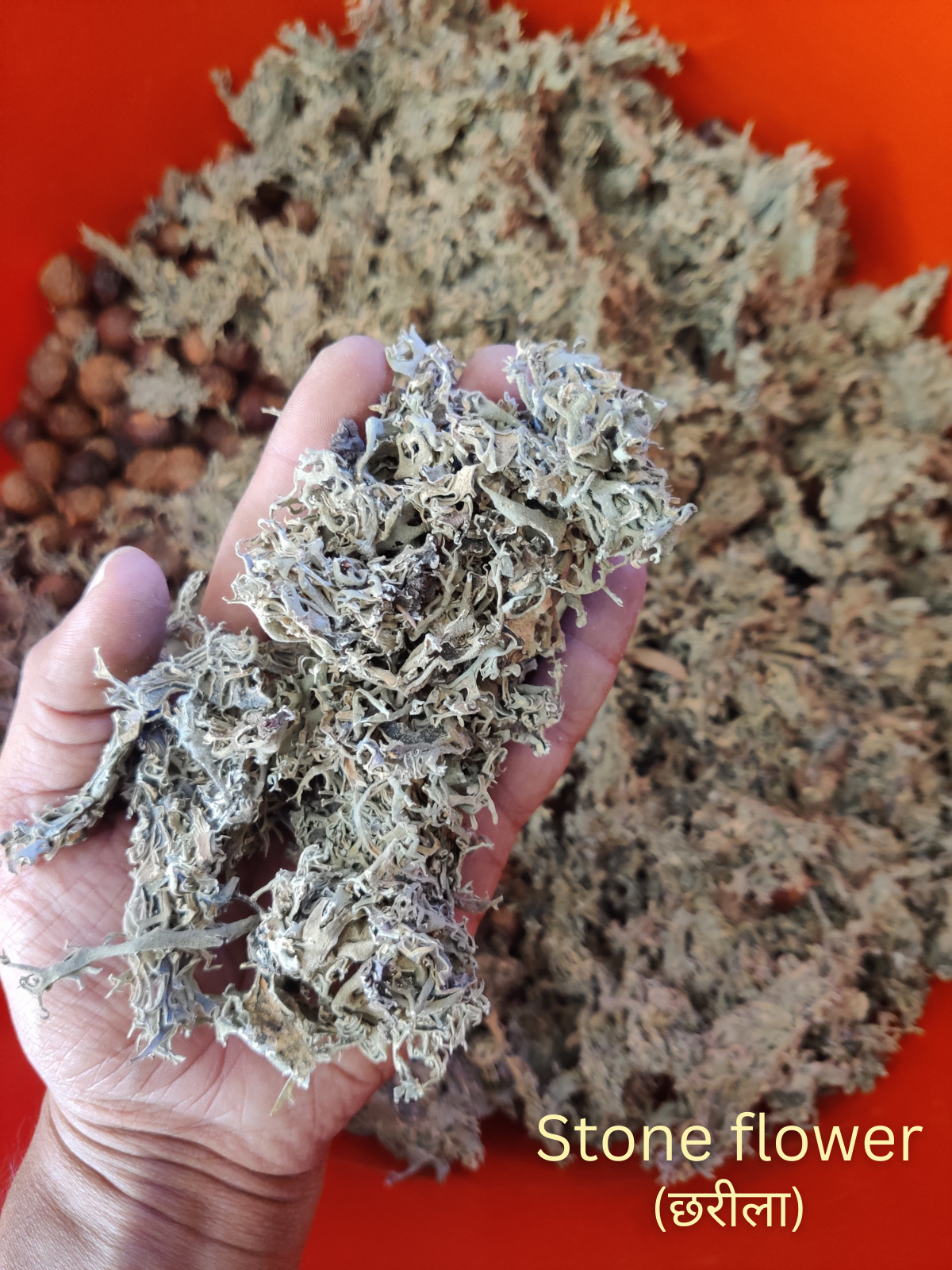 KeshVeda (Hair Wash Powder)