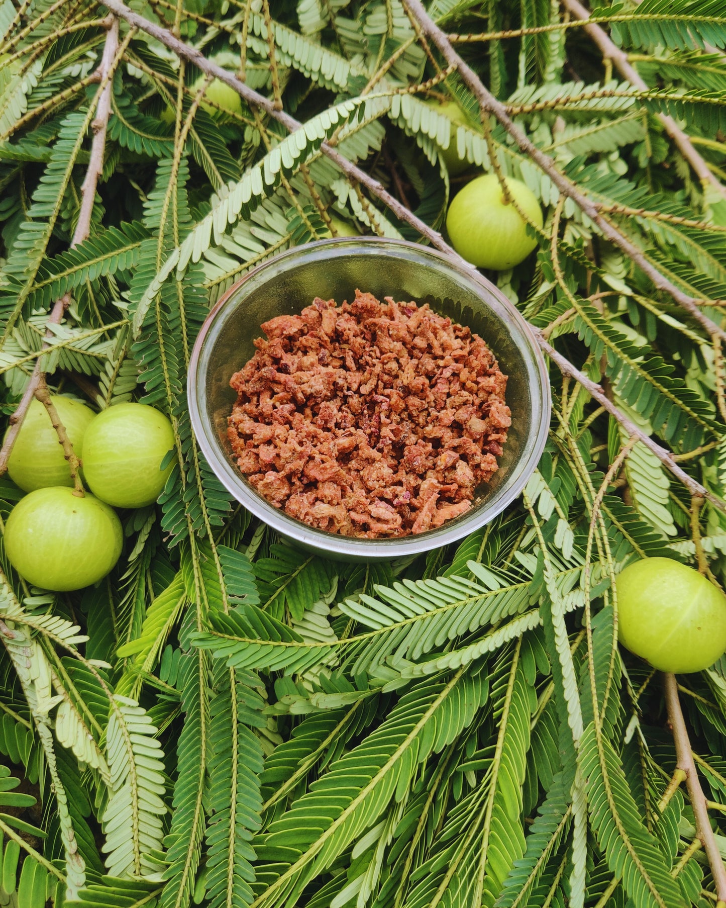 Amla candy (Beetroot & Ginger)