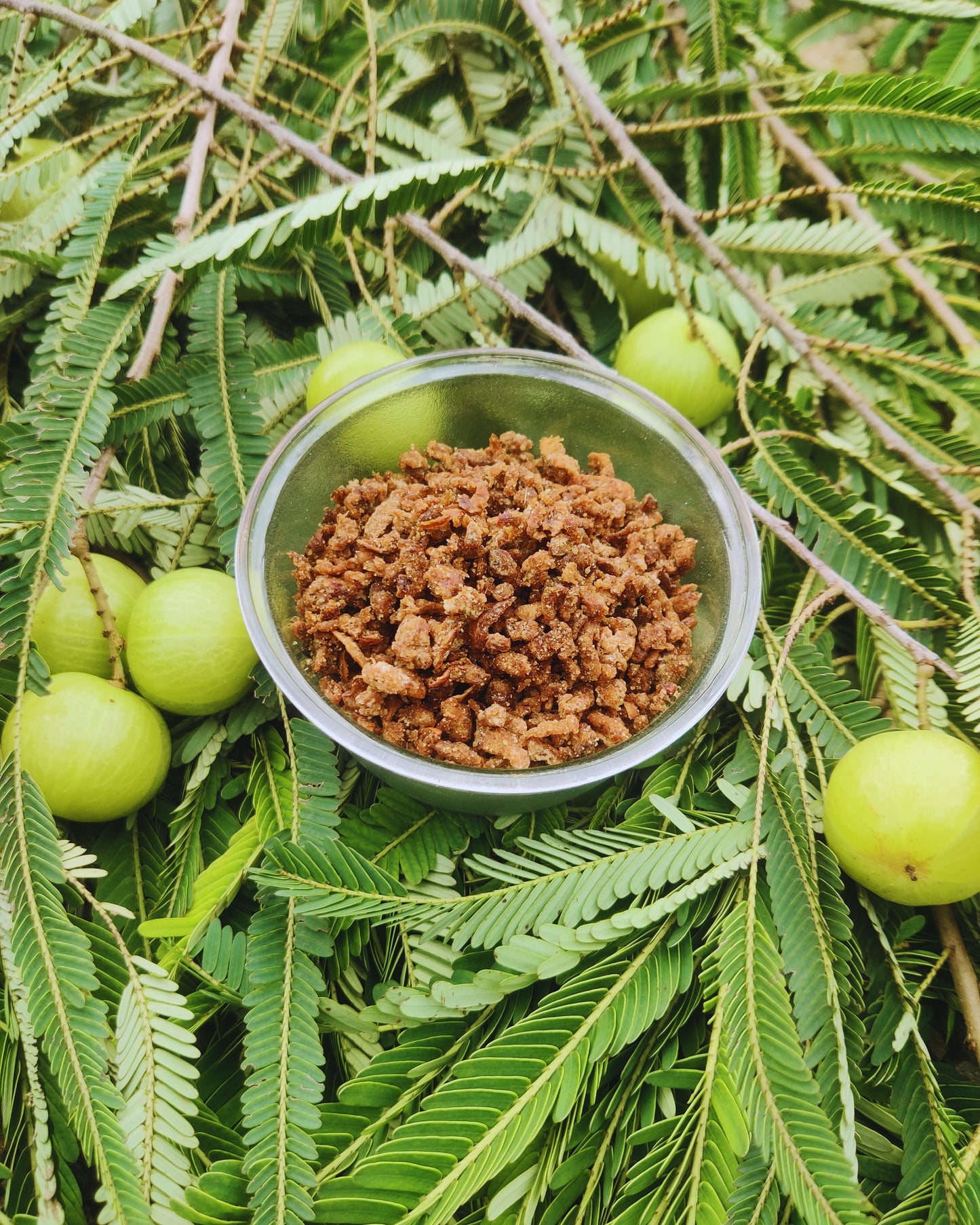 Amla candy (Classic salted)