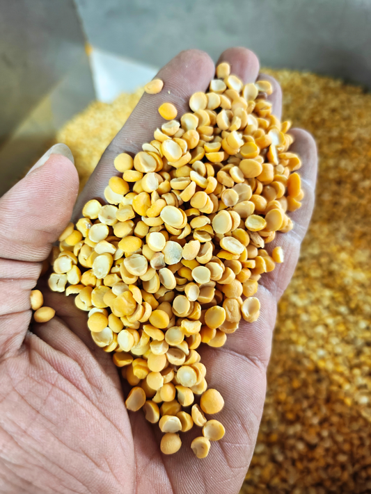 Chana dal (Chickpea split)