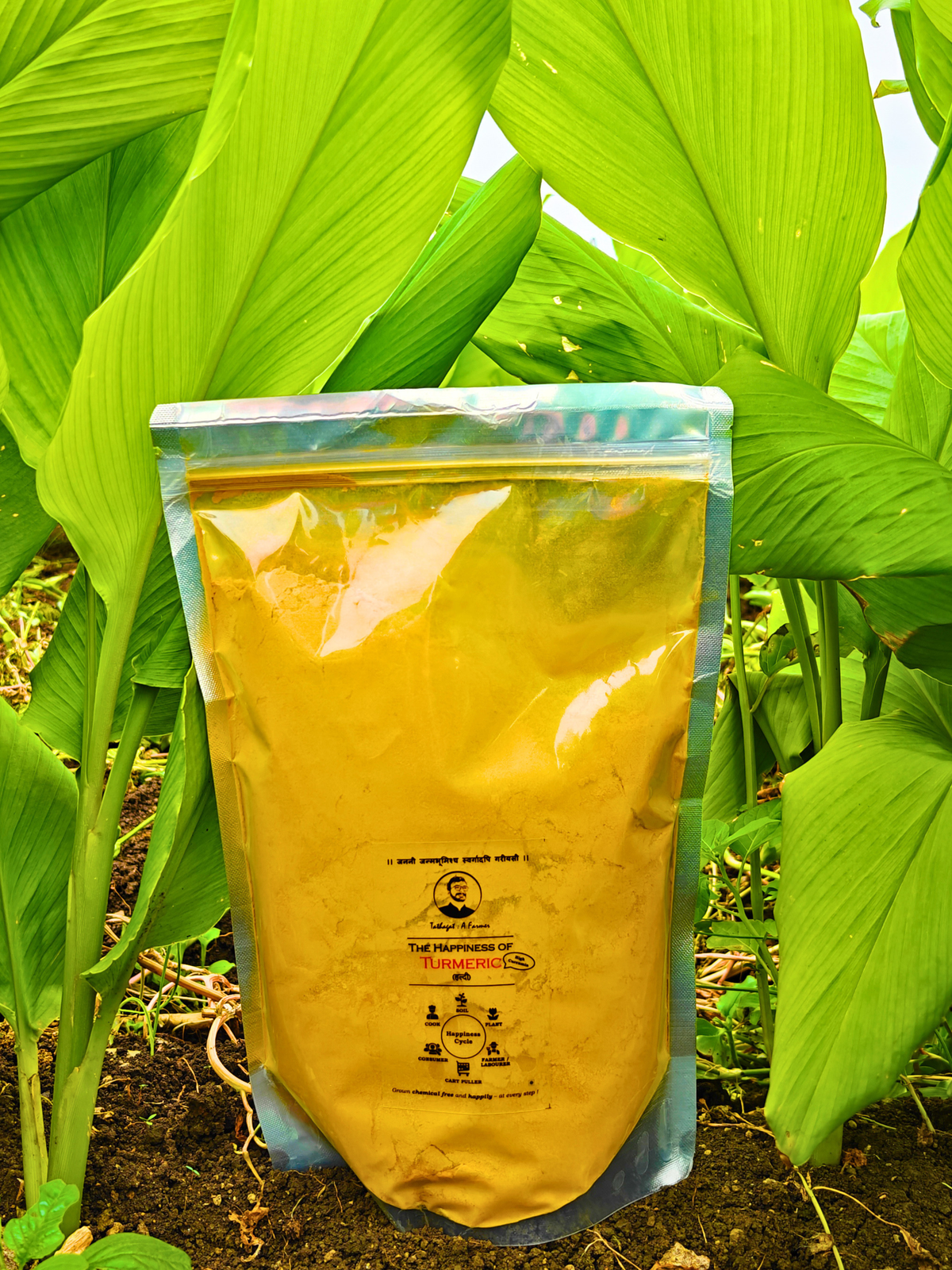 Turmeric