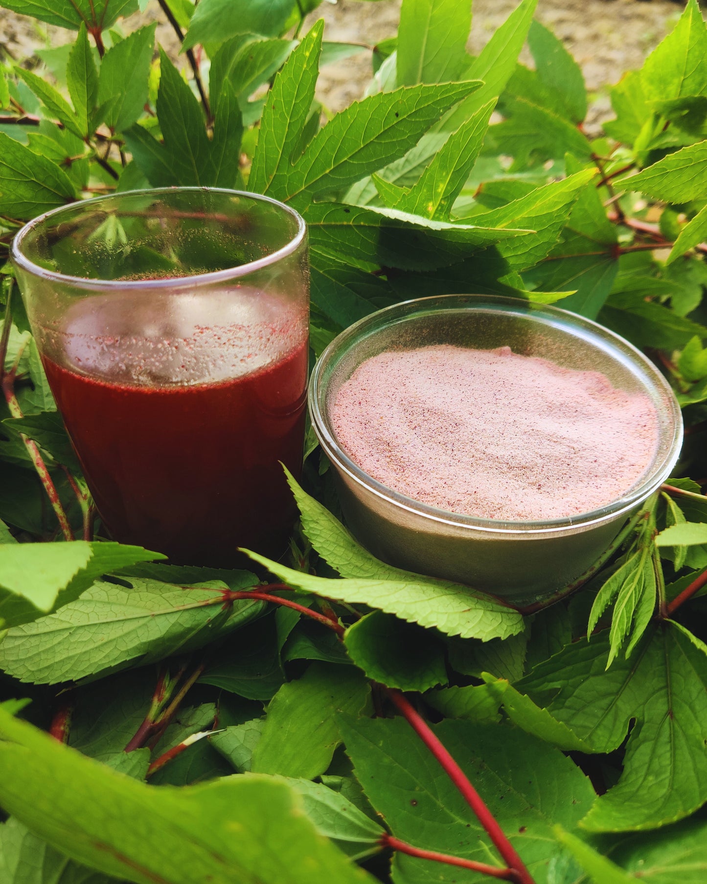 Hibiscus Energy Drink