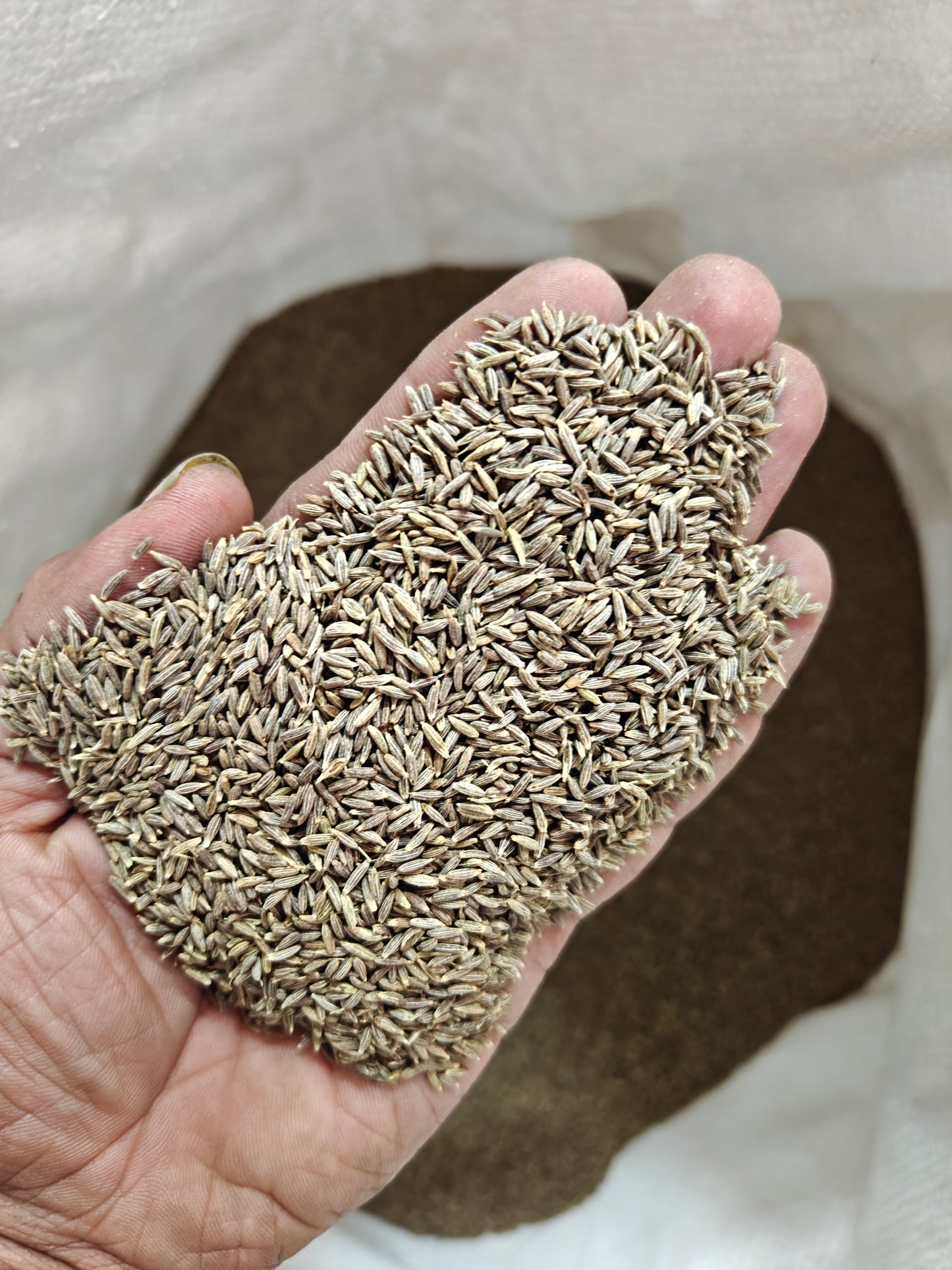 Cumin Seed (Jeera)