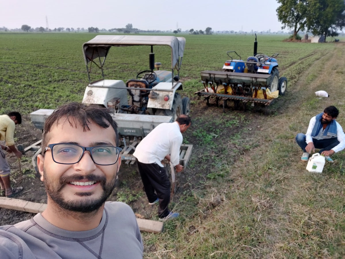 Deshi chana (Chickpea)