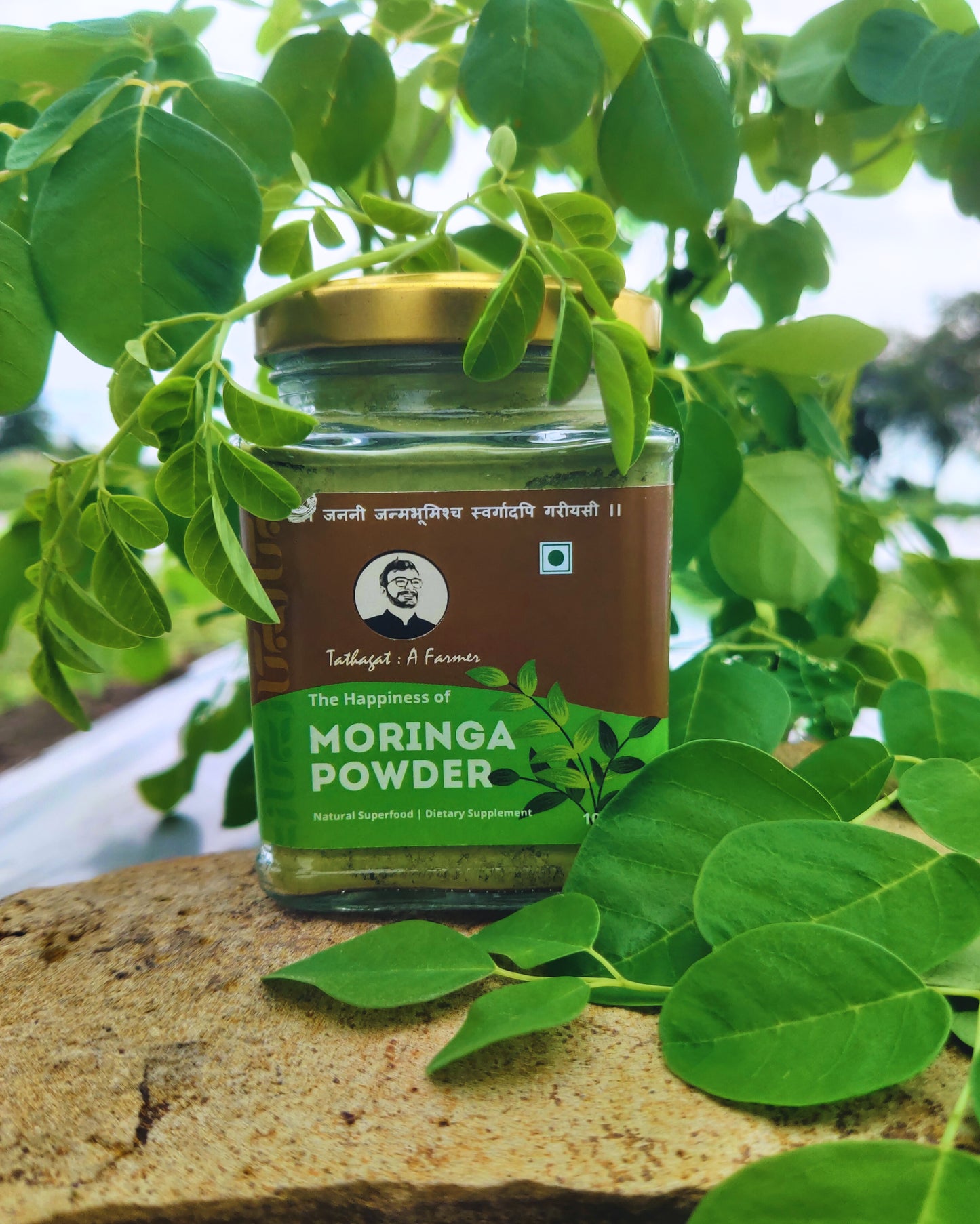 Moringa Powder